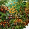Good Loot : Imagination - Ernst Haeckel, Mucinae (1000)