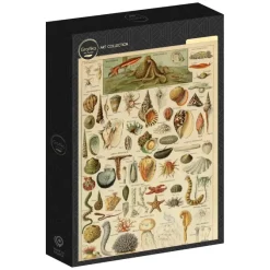 Grafika : Larousse - Molluscs II (1000)