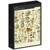 Grafika : Larousse - Mushrooms (1000)