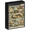 Grafika : Nouveau Larousse - Reptiles (1000)