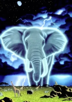 Grafika : Schim Schimmel - Spirit of Africa (1000)