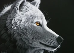 Grafika : Schim Schimmel - Wolf Light (1000)