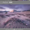 Heye : Humboldt - Arrow Dynamic (1000)