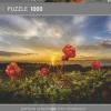 Heye : Humboldt - Cloudberries (1000)