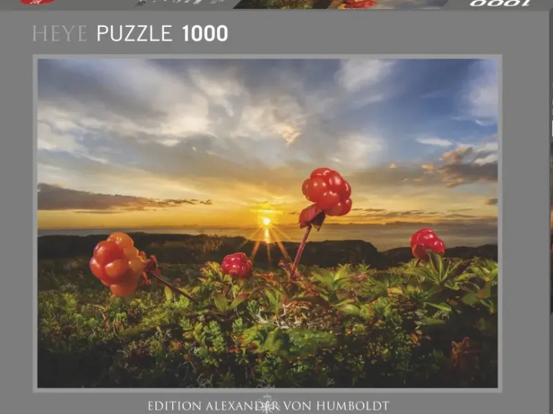 Heye : Humboldt - Cloudberries (1000)