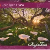 Heye : Magic Forests - Calla Clearing (1000)