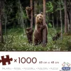 Peliko : Björnfamiljen (1000)
