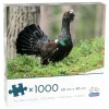 Peliko : Tjäder (1000)
