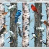 Piatnik : Christmas Birds (1000)