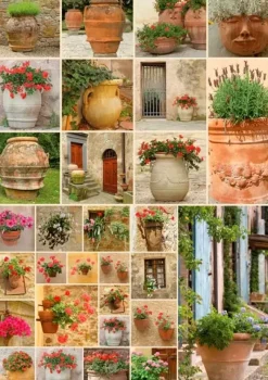 Piatnik : Clay Pots with Flowers (1000)