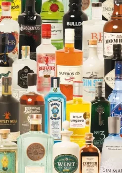 Piatnik : Taste of Gin (1000)