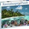 Ravensburger : A Dive in the Maldives (2000)