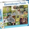 Ravensburger : Baby Animals (200)