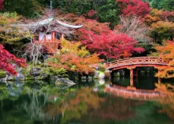 Ravensburger : Beautiful Gardens - Daigo-ji, Kyoto, Japan (1000)