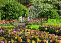 Ravensburger : Beautiful Gardens - Keukenhof Gardens, Netherlands (1000)