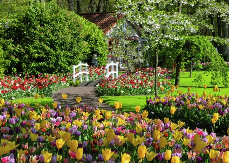 Ravensburger : Beautiful Gardens - Keukenhof Gardens, Netherlands (1000)