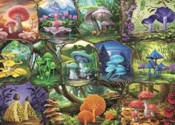 Ravensburger : Beautiful Mushrooms (1000)