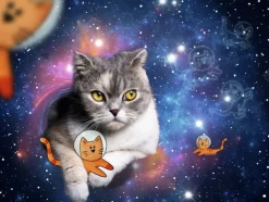Ravensburger : Cats in Outer Space (1500)
