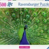 Ravensburger : Colorful Animals - Peacock (500)