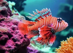 Ravensburger : Colorful Animals - Red Lionfish (500)
