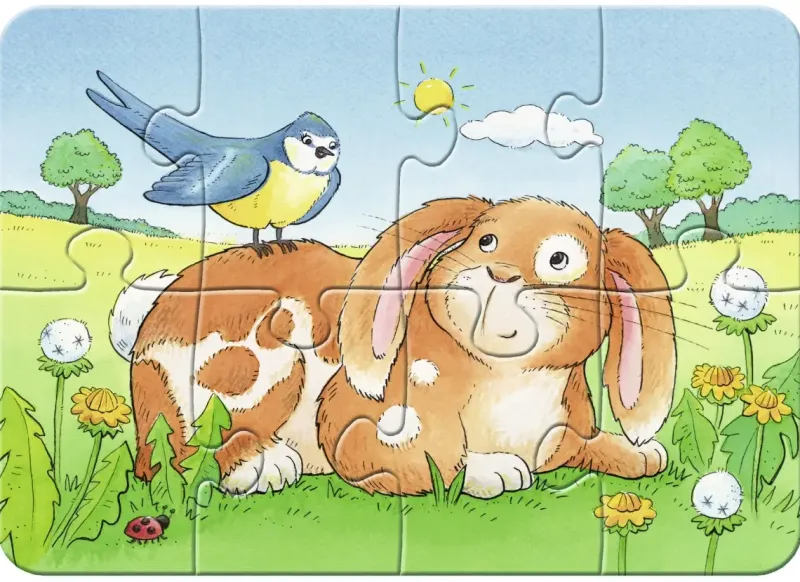 Ravensburger : Cute Pets (2, 4, 6, 8)