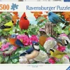 Ravensburger : Garden Birds (500)
