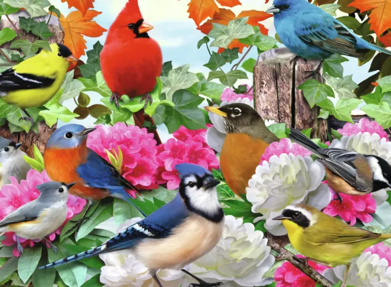 Ravensburger : Garden Birds (500)