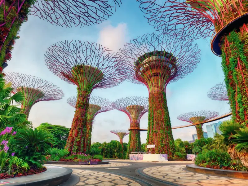 Ravensburger : Garden by the Bay at Singapore (1500)