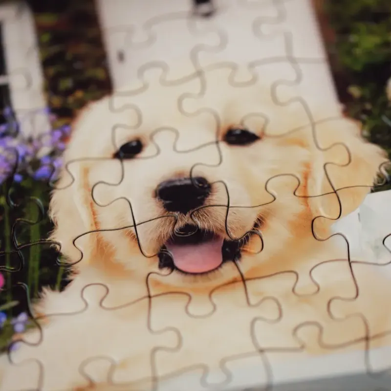 Ravensburger : Golden Retriever (200)