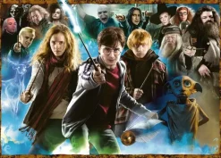 Ravensburger : Harry Potter - Magical Student Harry Potter (1000)