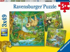 Ravensburger : Jungle Fun (3 x 49)