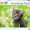 Ravensburger : Kitten in the Meadow (500)