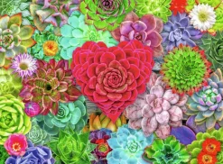 Ravensburger : Lars Stewart - Succulent Love (500)