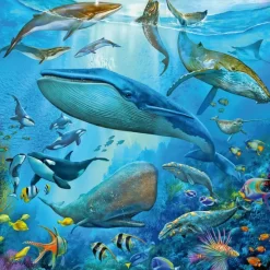 Ravensburger : Ocean Life (3 x 49)