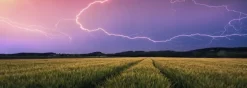 Ravensburger : Panorama - Nature Edition, Summer Thunderstorm (500)