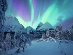 Ravensburger : Power of Nature - Stefan Hefele, The Arctic Show (1500)
