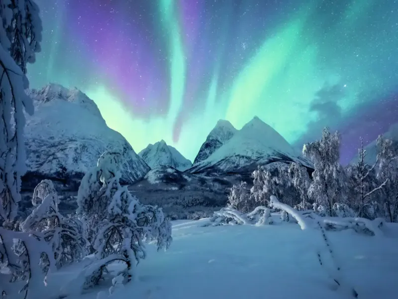 Ravensburger : Power of Nature - Stefan Hefele, The Arctic Show (1500)