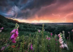 Ravensburger : Power of Nature - Stefan Hefele, Dreamy Thunder (1000)