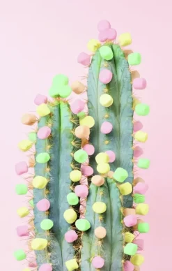 Ravensburger : Puzzle Moment - Cactus (200)