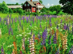 Ravensburger : Scandinavian Places - Farm in Sweden (500)
