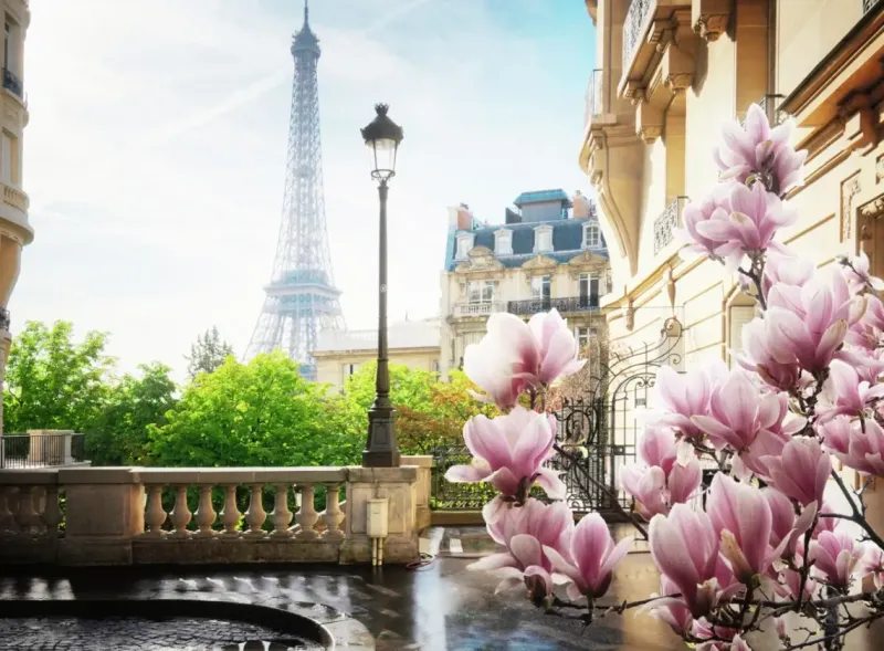 Ravensburger : Springtime in Paris (500)