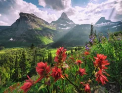 Ravensburger : Stefan Hefele - Pristine Mountains (2000)