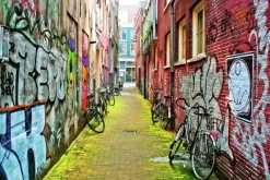 Ravensburger : Street Art in Amsterdam (3000)