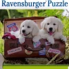 Ravensburger : Traveling Pups (100)