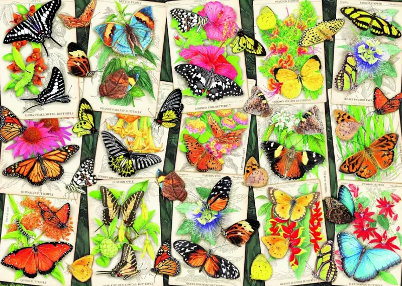 Ravensburger : Tropical Butterflies (1000)