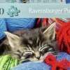 Ravensburger : Wool Cat (100)