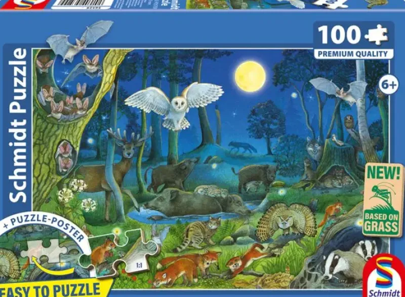 Schmidt : Animals in a Night-time Forest (100)