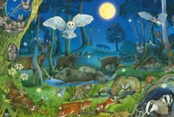Schmidt : Animals in a Night-time Forest (100)