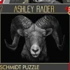 Schmidt : Ashley Rader - Dominance, Ram - The Epitome of Fire (1000)