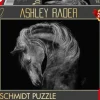 Schmidt : Ashley Rader - Power, Horse - The Epitome of Strength (1000)
